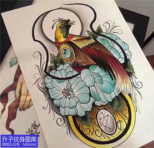 彩色new school彩色动物鸟纹身手稿图案