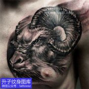 <b>胸口黑灰羊头纹身图案</b>