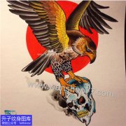 <b>欧美彩色鹰骷髅纹身手稿图案</b>