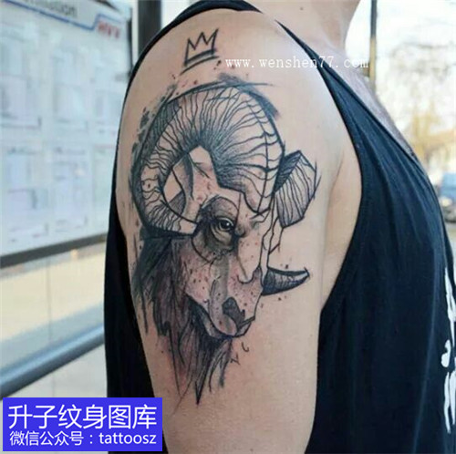 男性大臂外侧羊头纹身图案