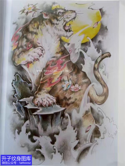 传统彩色老虎纹身手稿图案