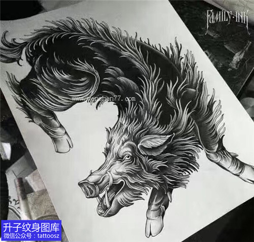 黑灰野猪纹身手稿图案