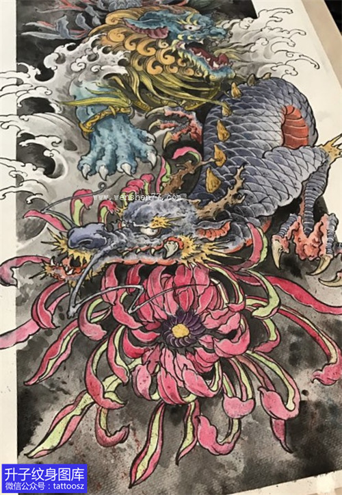 传统彩色龙与菊花纹身手稿图案