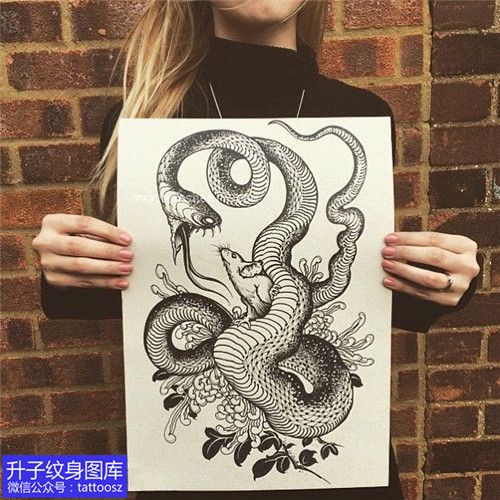 蛇菊花纹身手稿图案