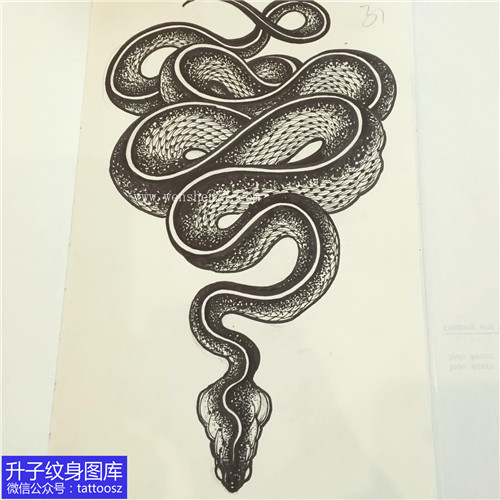黑灰蛇纹身手稿图案