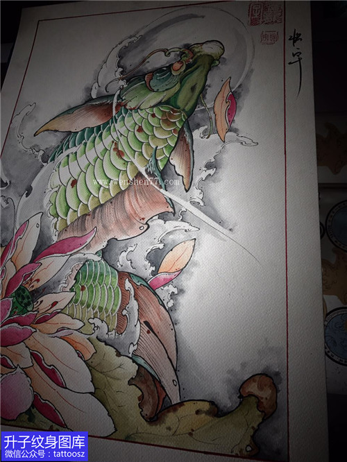 彩色鲤鱼荷花纹身手稿图案