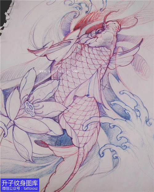 鲤鱼莲花线条纹身手稿图案