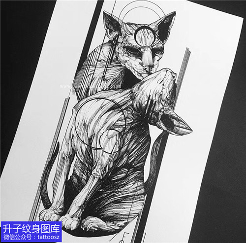 欧美黑灰猫纹身手稿图案