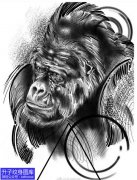 <b>大黑猩猩金刚纹身手稿图案</b>