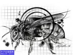 <b>黑白蜜蜂纹身手稿图案</b>