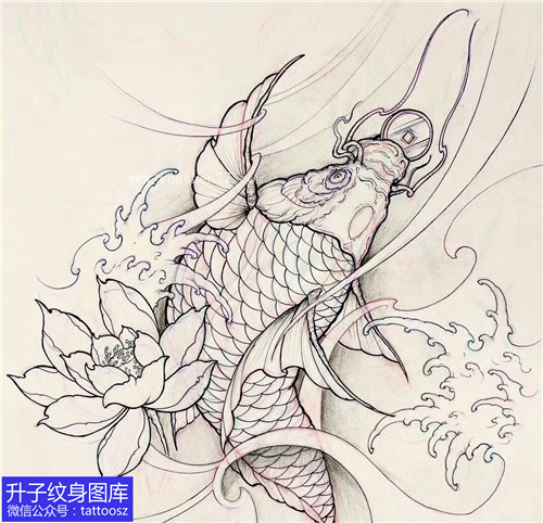鲤鱼荷花线稿纹身手稿图案