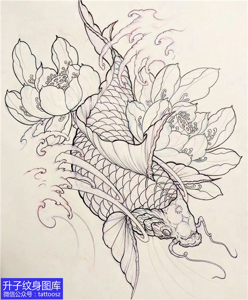 传统线条鲤鱼纹身手稿图案