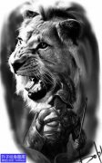 <b>欧美黑灰写实勇士与狮子纹身手稿图案</b>