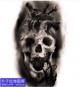 <b>欧美黑灰骷髅头与心脏的结合纹身手稿图案</b>