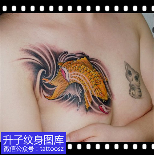女性胸部彩色传统鲤鱼纹身图案