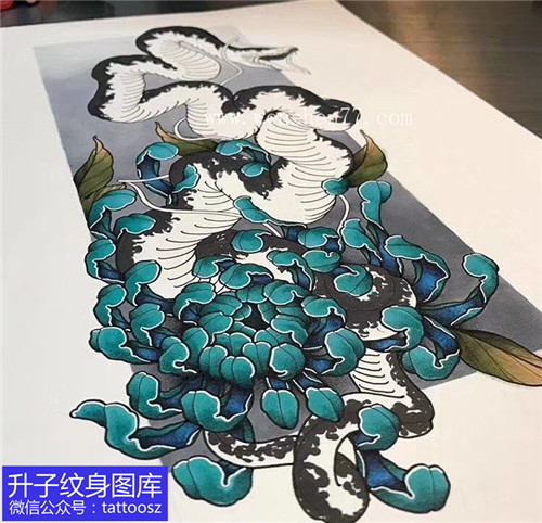 蓝色菊花蛇纹身手稿图案 