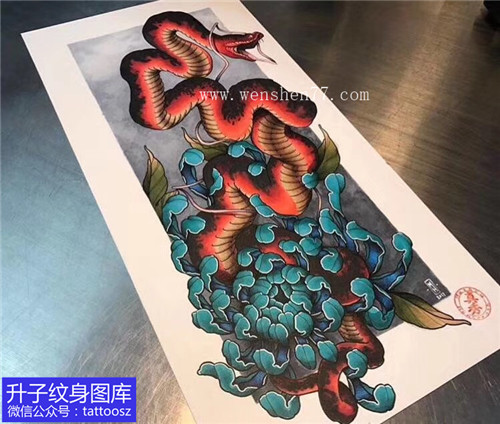 彩色菊花与红色蛇纹身手稿图案