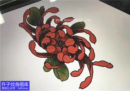 橘红色菊花纹身手稿图案