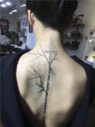 <b>后背遮盖旧纹身竹子纹身图案</b>