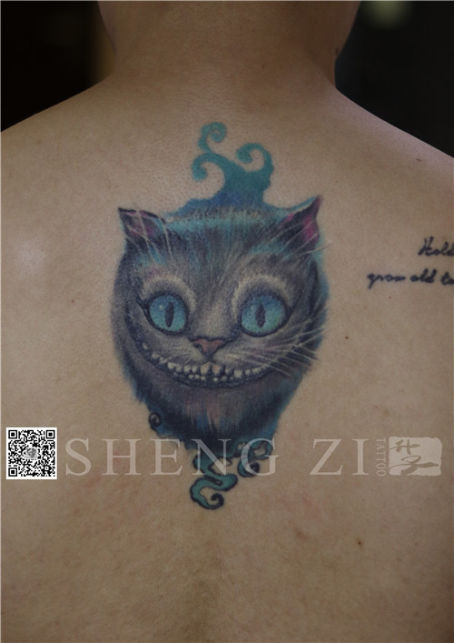 后背彩色猫咪恢复3年后 重庆纹身作品