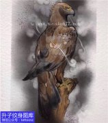 <b>褐色老鹰纹身手稿图案</b>