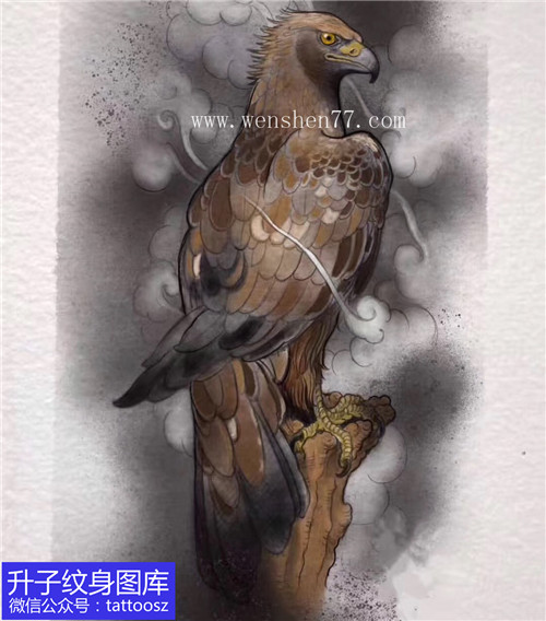 褐色老鹰纹身手稿图案
