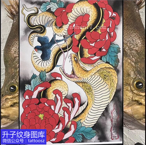 金色眼镜蛇与红色菊花纹身手稿图案