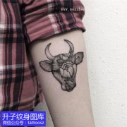 <b>手臂点刺黑灰牛头纹身图案 观音桥纹身店推荐</b>