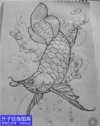 <b>金龙鱼线条纹身手稿图案</b>