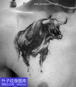 <b>男性胸部牛头纹身图案</b>