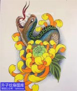<b>蛇黄色菊花纹身手稿图案</b>