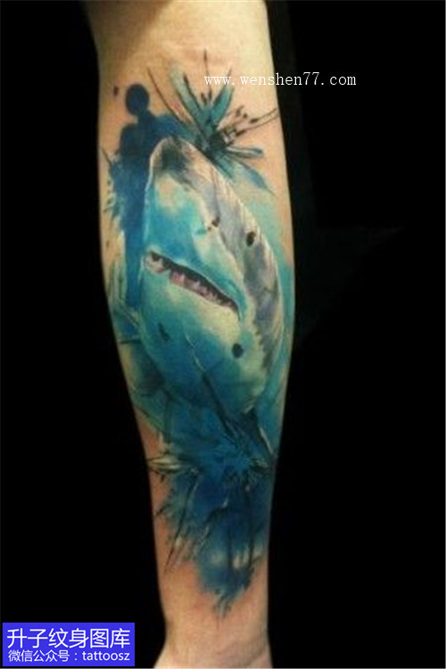 手臂鲨鱼纹身图案