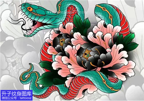 蛇盘牡丹花纹身手稿图案