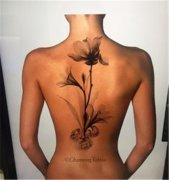 <b>女性背部纹身图案推荐</b>