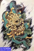 <b>传统菊花蛇纹身手稿图案图片大全</b>