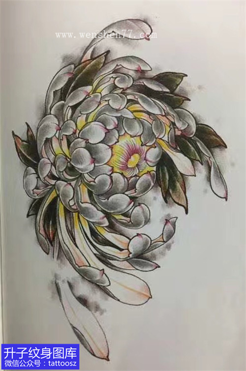 菊花纹身手稿图案