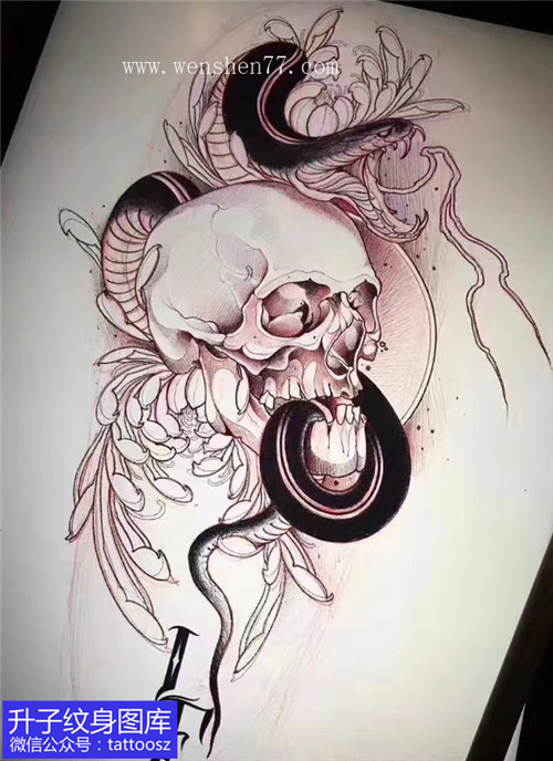 骷髅头蛇菊花纹身手稿图案