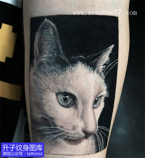 手臂内侧写实猫纹身