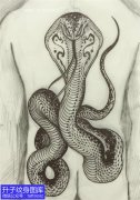 <b>黑白眼镜蛇纹身手稿图案</b>