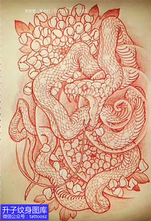 渝北蛇与菊花纹身手稿图案-精品手稿