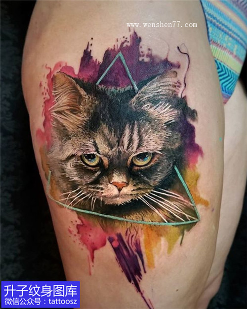 巫溪大腿外侧彩色写实猫纹身_精美图案