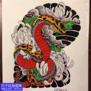 <b>半甲新传统蛇与菊花纹身手稿_中梁山精品图案</b>