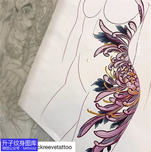 彩色菊花纹身手稿图案-精品侧腰设计图案