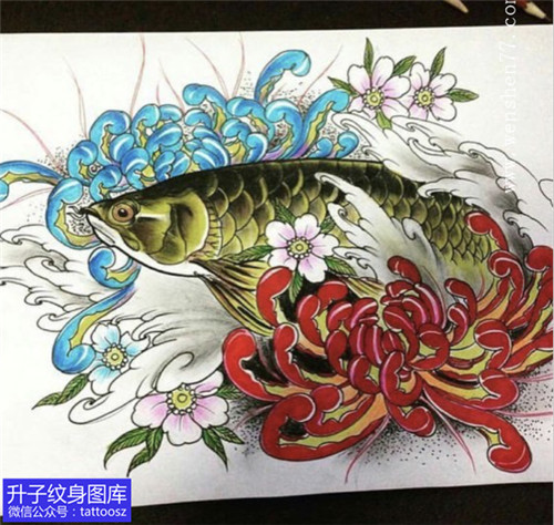 彩色传统金龙鱼与菊花纹身手稿-精品图案