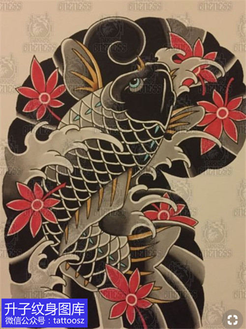老传统彩色鲤鱼枫叶纹身手稿-精品手稿