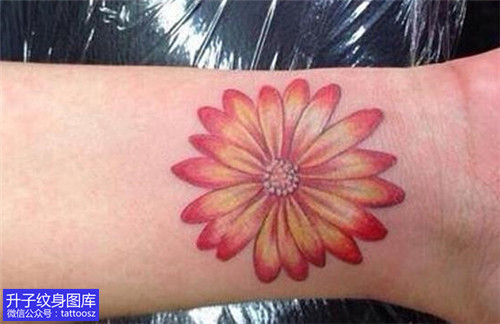 手腕彩色菊花纹身图案-精致小图