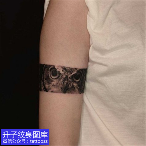 大臂臂环黑灰欧美猫头鹰纹身图案