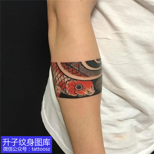 手臂彩色传统鲤鱼臂环纹身图案-精品