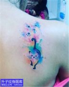 <b>女生肩胛骨彩色泼墨猫纹身图案</b>