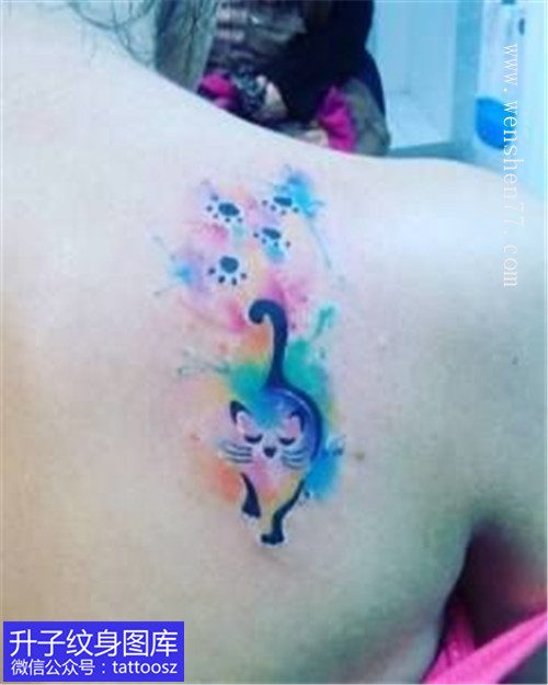 女生肩胛骨彩色泼墨猫纹身图案